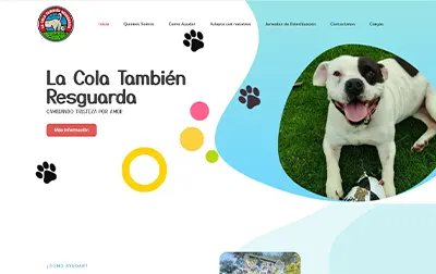 fundación para perros la cola también resguarda